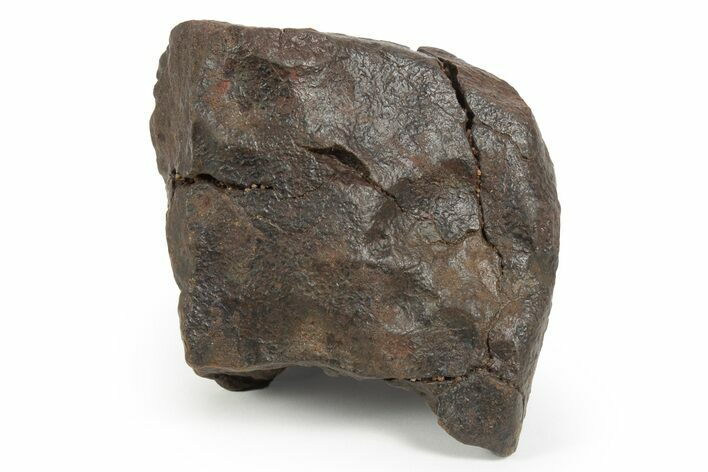 Chondrite Meteorite ( g) - Western Sahara Desert #247545